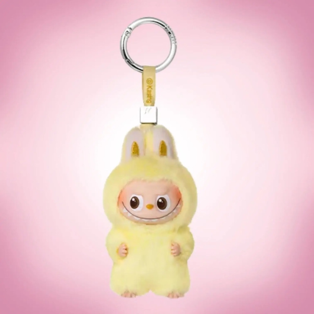 Pin For Love Labubu F damaged box